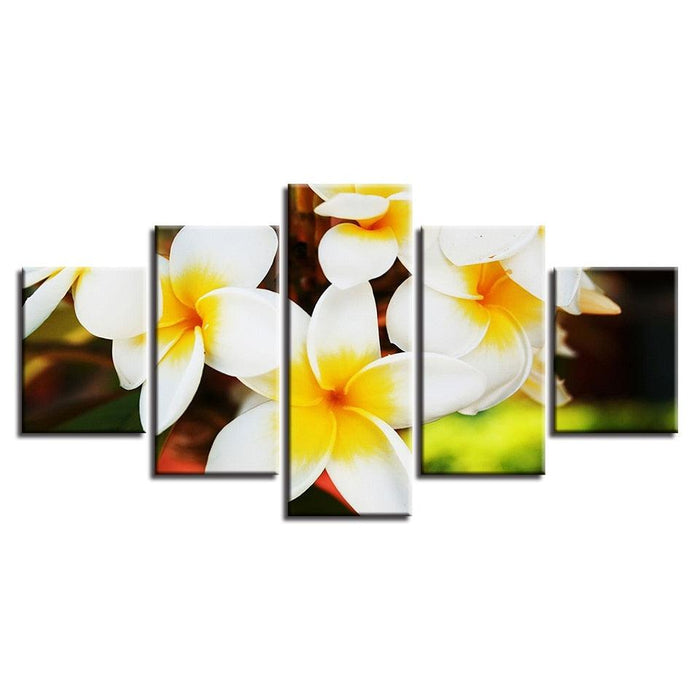 Plumeria Rubra Flowers 5 Piece HD Multi Panel Canvas Wall Art Frame - Original Frame