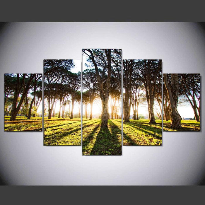 Sunshine Forest Scenery 5 Piece HD Multi Panel Canvas Wall Art Frame - Original Frame