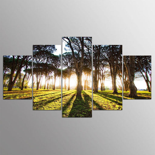 Sunshine Forest Scenery 5 Piece HD Multi Panel Canvas Wall Art Frame - Original Frame