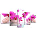 Moth Orchids 5 Piece HD Multi Panel Canvas Wall Art Frame - Original Frame