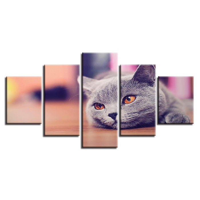 Cat 5 Piece HD Multi Panel Canvas Wall Art - Original Frame