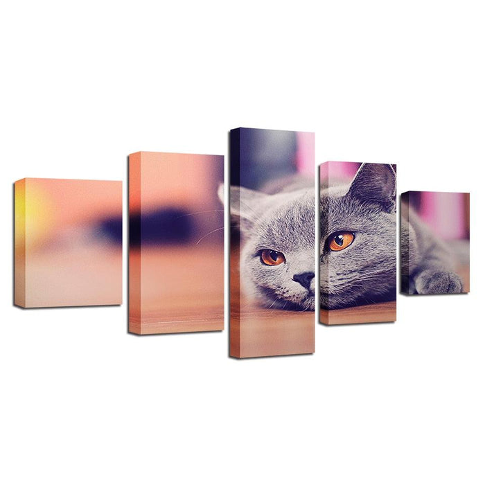 Cat 5 Piece HD Multi Panel Canvas Wall Art - Original Frame