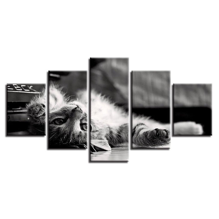 Tabby Cat 5 Piece HD Multi Panel Canvas Wall Art Frame - Original Frame