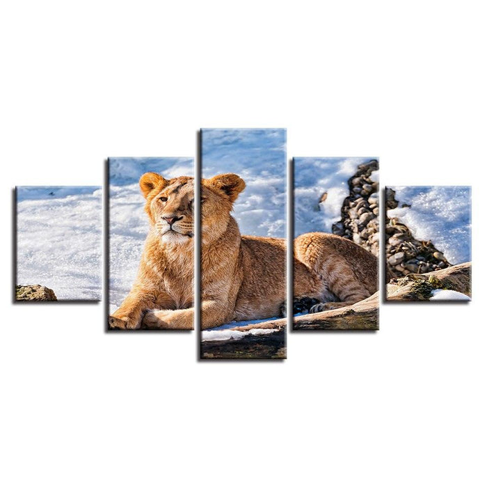 Lioness Resting 5 Piece HD Multi Panel Canvas Wall Art Frame - Original Frame