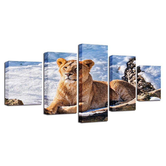 Lioness Resting 5 Piece HD Multi Panel Canvas Wall Art Frame - Original Frame