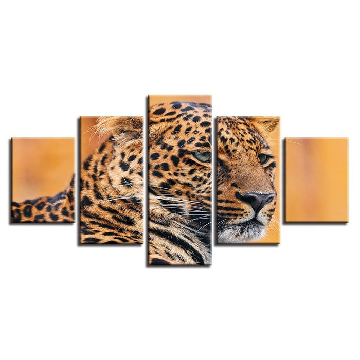 Leopard Face 5 Piece HD Multi Panel Canvas Wall Art Frame - Original Frame