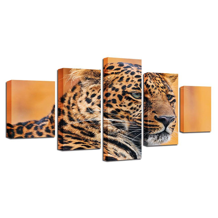 Leopard Face 5 Piece HD Multi Panel Canvas Wall Art Frame - Original Frame