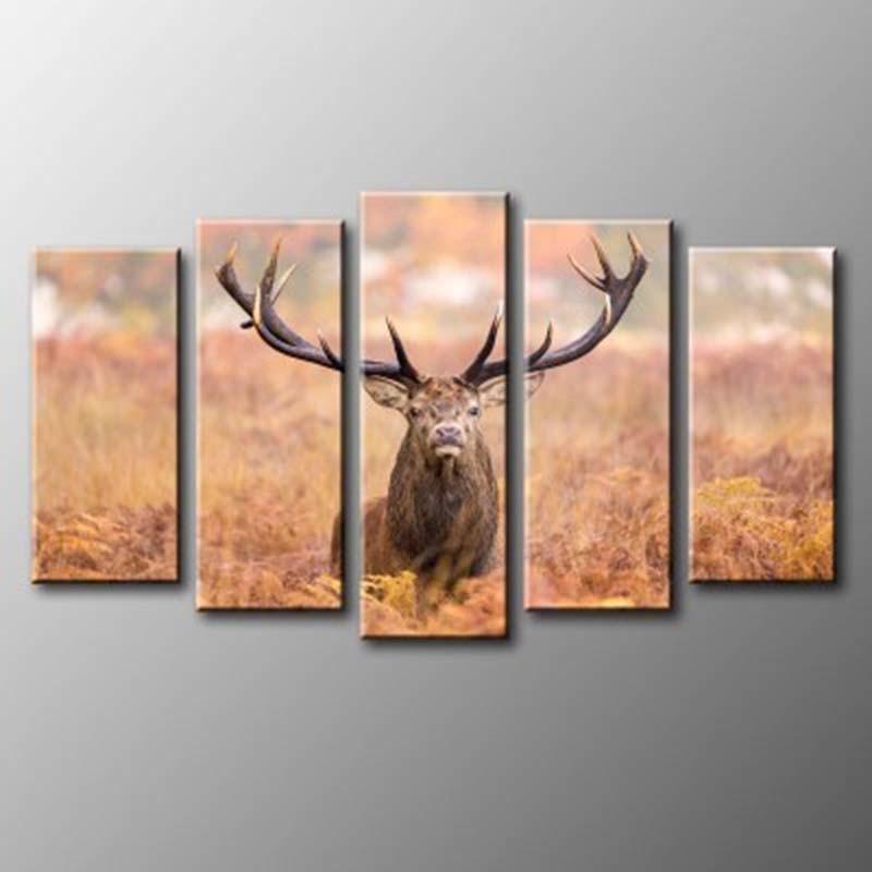 Elk Portrait 5 Piece HD Multi Panel Canvas Wall Art Frame - Original Frame