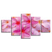 Plumeria Rubra Flowers 5 Piece HD Multi Panel Canvas Wall Art - Original Frame