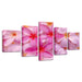 Plumeria Rubra Flowers 5 Piece HD Multi Panel Canvas Wall Art - Original Frame