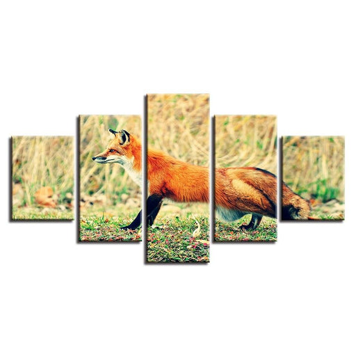 Fox On The Ground 5 Piece HD Multi Panel Canvas Wall Art Frame - Original Frame