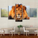 Majestic Lion 5 Piece Multi Panel Canvas Wall Art Frame - Original Frame