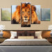 Majestic Lion 5 Piece Multi Panel Canvas Wall Art Frame - Original Frame