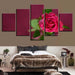 Beautiful Red Rose Flower 5 Piece HD Multi Panel Canvas Wall Art Frame - Original Frame