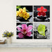 Four Flowers 4 Piece HD Multi Panel Canvas Wall Art Frame - Original Frame