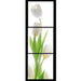 White Tulips 3 Piece HD Multi Panel Canvas Wall Art Frame - Original Frame