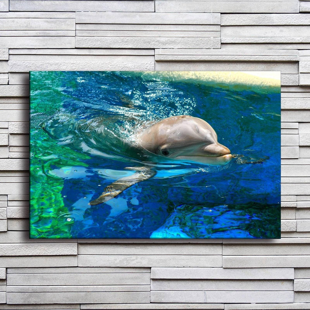 Dolphin In Water 1 Piece HD Multi Panel Canvas Wall Art Frame - Original Frame