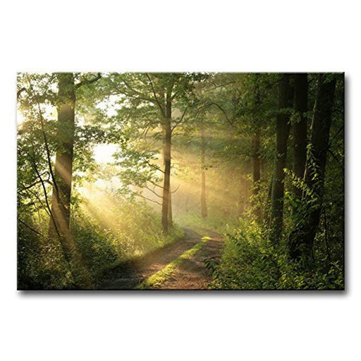 Spring Morning 1 Piece HD Multi Panel Canvas Wall Art Frame - Original Frame