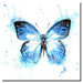 1 Piece Blue Butterfly Pictures Wall Art - Original Frame