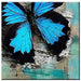 1 Piece Blue Butterfly Pictures Wall Art - Original Frame