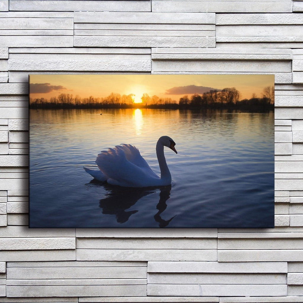 Beautiful Swan On Lake 1 Piece HD Multi Panel Canvas Wall Art Frame - Original Frame